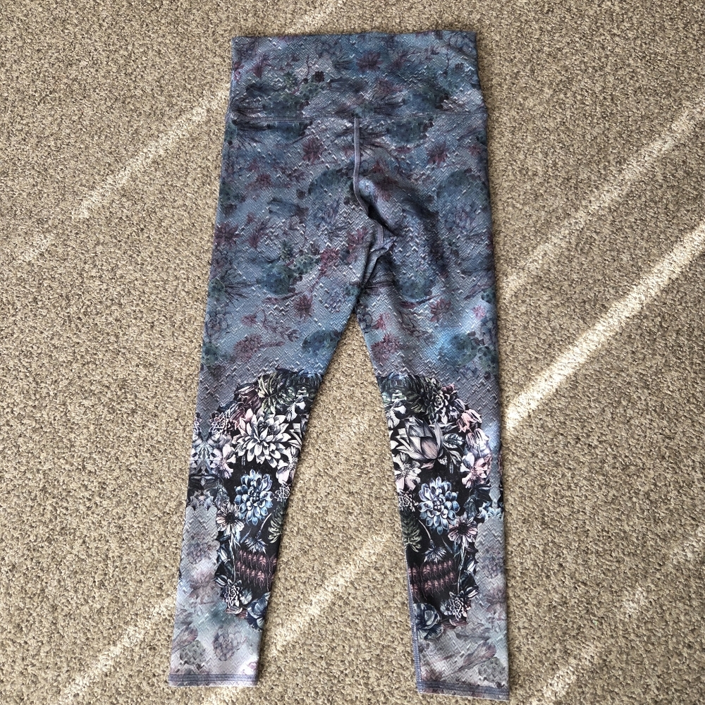 Evolution And Creation Cactus Succulent Sugar Sku… - image 5